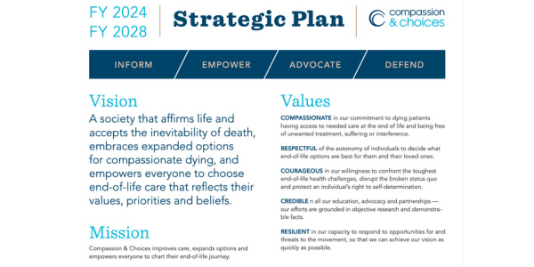 a screenshot of our new strategic plan